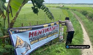 Foto : Dokumentasi Polsek Laren Himbau Petani Hindari Listrik Basmi Tikus