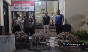 Foto : Dokumentasi Polres Lamongan Gagalkan Dua Arena Sabung Ayam