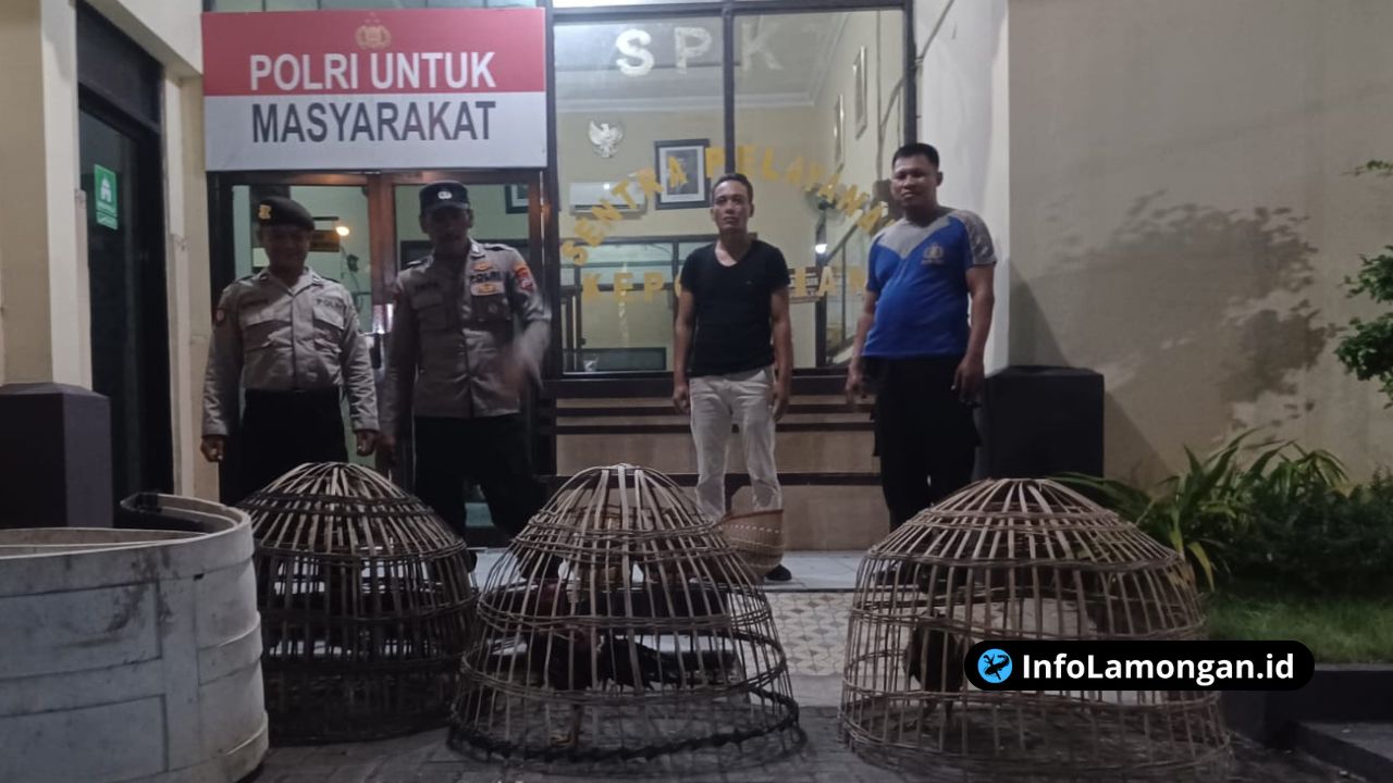 Foto : Dokumentasi Polres Lamongan Gagalkan Dua Arena Sabung Ayam