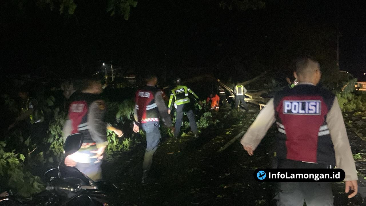 Foto : Personel Sat Samapta Polres Lamongan memotong pohon tumbang di jalan raya Sukodadi